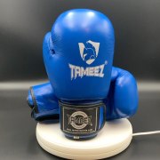 Заказать TameezSport Перчатки боксерские 12 Oz.