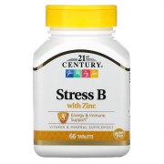 Заказать 21st Century Stress B with Zinc 66 таб