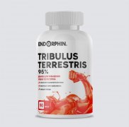 Заказать Endorphin Tribulus Terrestris 95% 500 мг 90 капс