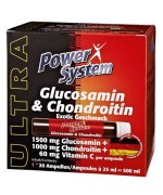 Заказать Power System Glucosamine & Chondroitin 25 мл