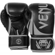 Заказать Venum Боксерские Перчатки Challenger 2.0 (Black)