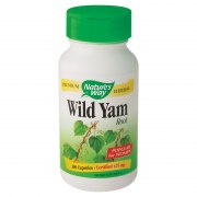 Заказать Nature's Way Wild Yam Root 425 мг 100 вег капс